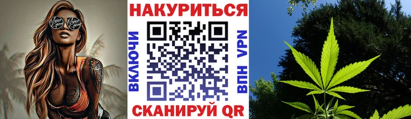 Шишки марихуана план  Купить закладки  Сокол 